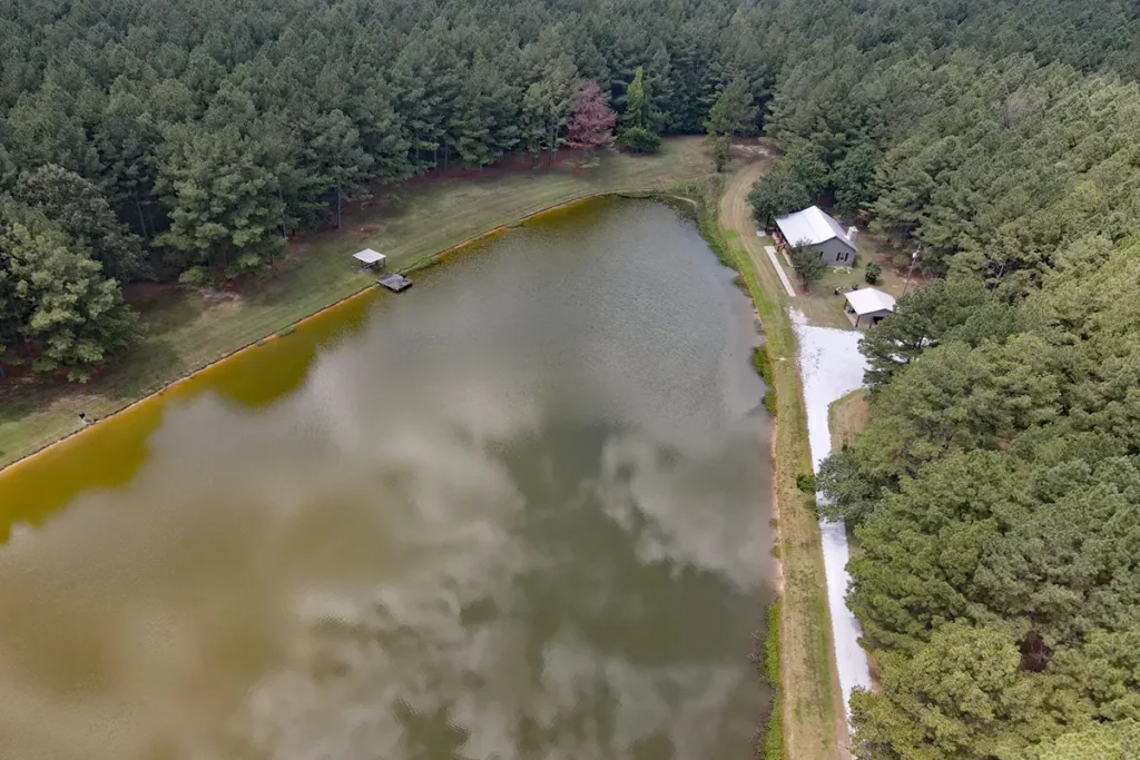 cabin-at-piney-lake-04